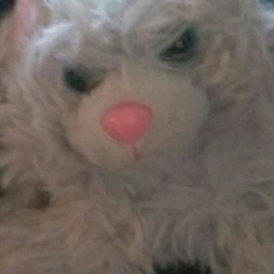 Meet your Posher, Sheena